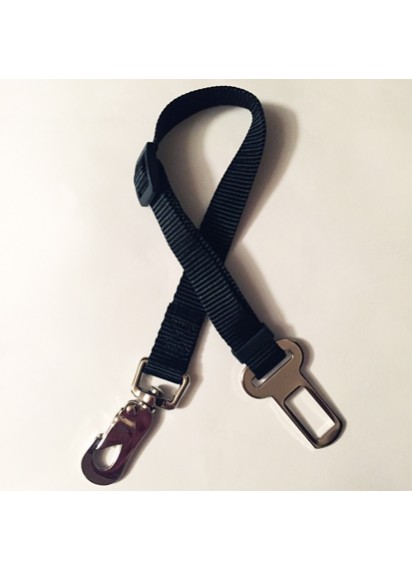 Car seatbelt attachment 